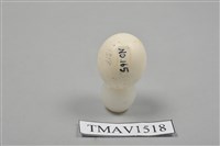 藏品(翠鳥卵)的圖片